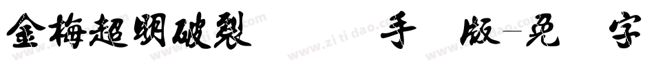 金梅超明破裂国际码手机版字体转换