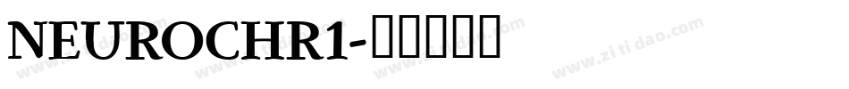 NEUROCHR1字体转换