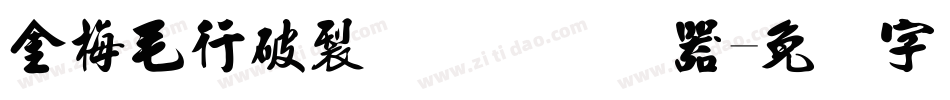 金梅毛行破裂国际码转换器字体转换