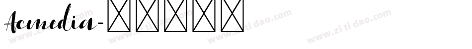 Acmedia字体转换