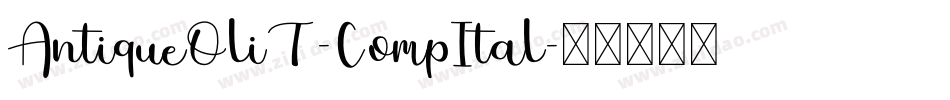 AntiqueOliT-CompItal字体转换