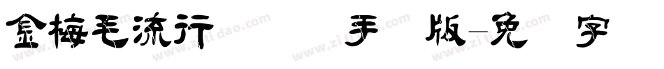 金梅毛流行国际码手机版字体转换