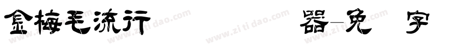 金梅毛流行国际码转换器字体转换