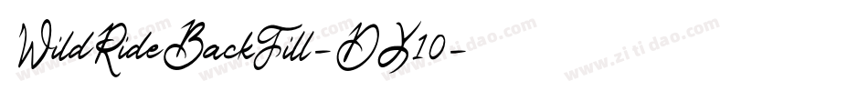 WildRideBackFill-DY10字体转换
