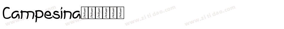 Campesina字体转换