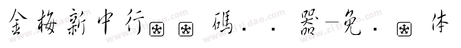 金梅新中行國際碼转换器字体转换