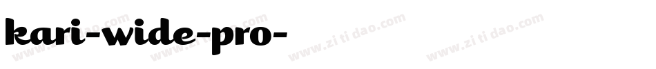 kari-wide-pro字体转换