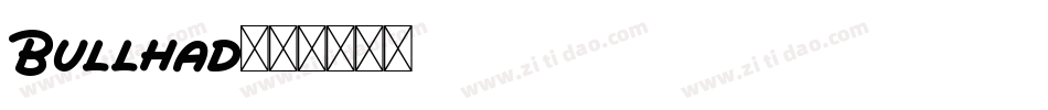 Bullhad字体转换