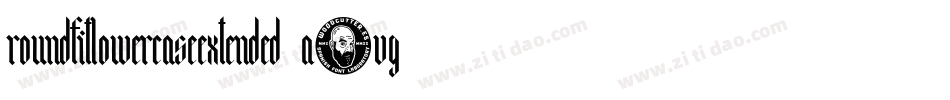 RoundfitLowercaseExtended-a1vg字体转换