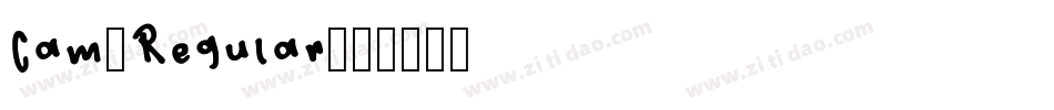Cam-Regular字体转换