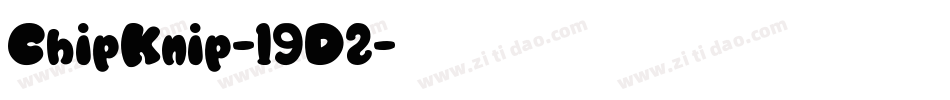 ChipKnip-19D2字体转换
