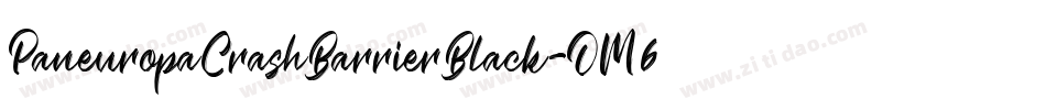 PaneuropaCrashBarrierBlack-OM6O字体转换