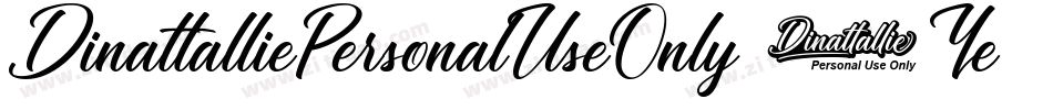 DinattalliePersonalUseOnly-6Ye6D字体转换