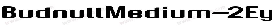 BudnullMedium-2Eyv字体转换