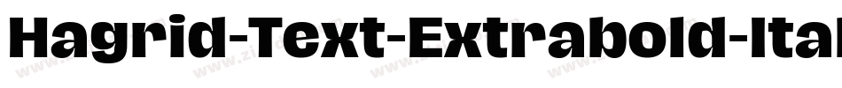Hagrid-Text-Extrabold-Italic-trial字体转换