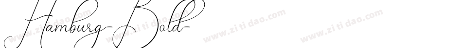 Hamburg-Bold字体转换