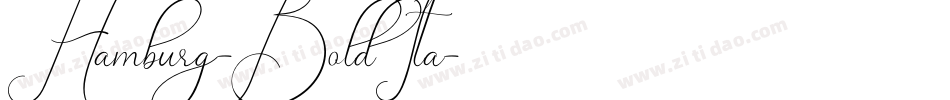 Hamburg-BoldIta字体转换