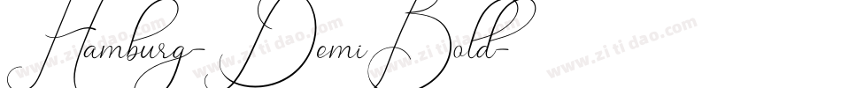 Hamburg-DemiBold字体转换