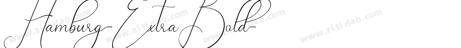 Hamburg-ExtraBold字体转换