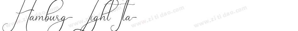 Hamburg-LightIta字体转换