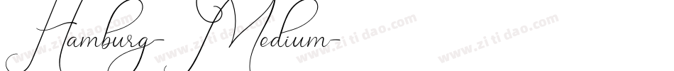 Hamburg-Medium字体转换