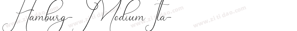 Hamburg-MediumIta字体转换