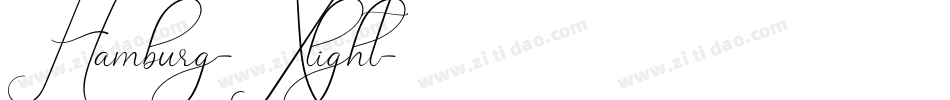 Hamburg-Xlight字体转换