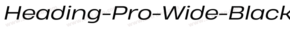 Heading-Pro-Wide-Black-Italic-trial字体转换