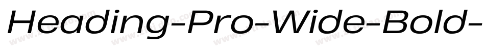 Heading-Pro-Wide-Bold-Italic-trial字体转换