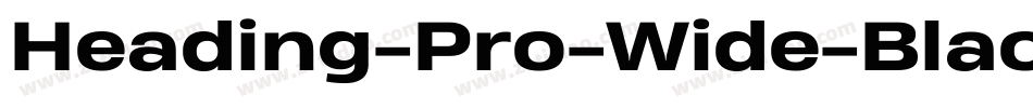 Heading-Pro-Wide-Black-Italic-trial字体转换