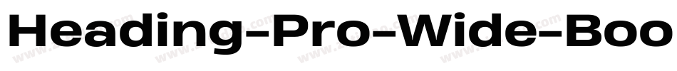 Heading-Pro-Wide-Book-trial字体转换
