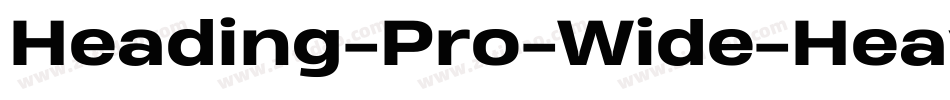 Heading-Pro-Wide-Heavy-Italic-trial字体转换