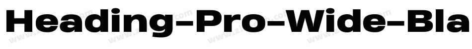 Heading-Pro-Wide-Black-Italic-trial字体转换