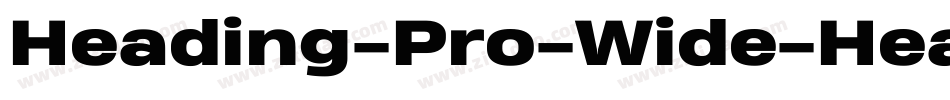 Heading-Pro-Wide-Heavy-Italic-trial字体转换