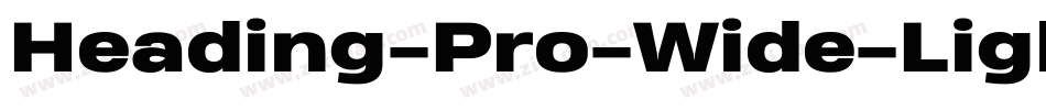 Heading-Pro-Wide-Light-Italic-trial字体转换
