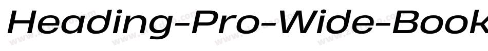 Heading-Pro-Wide-Book-Italic-trial字体转换