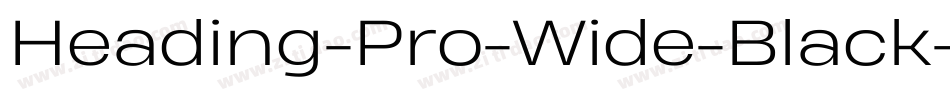 Heading-Pro-Wide-Black-Italic-trial字体转换