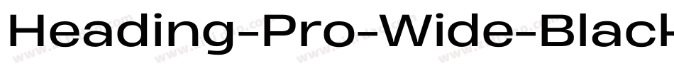 Heading-Pro-Wide-Black-Italic-trial字体转换