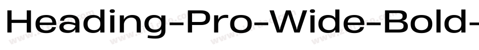 Heading-Pro-Wide-Bold-Italic-trial字体转换