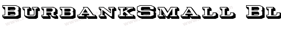 BurbankSmall-BlackItalic字体转换