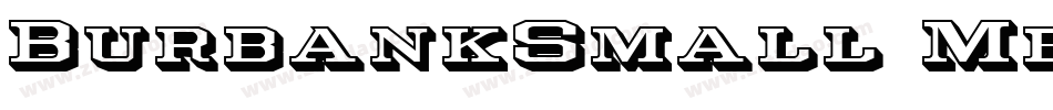 BurbankSmall-MediumItalic字体转换