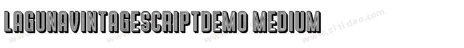 LagunaVintageScriptDemo-Medium字体转换