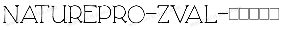 NaturePro-zval字体转换