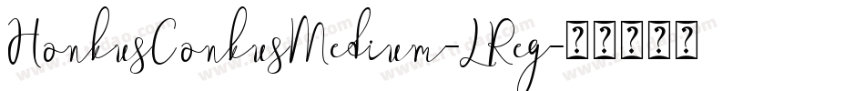 HonkusConkusMedium-LReg字体转换