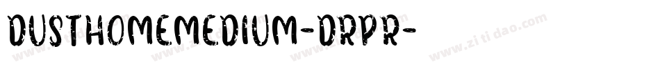 DusthomeMedium-drpR字体转换
