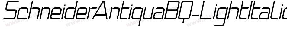SchneiderAntiquaBQ-LightItalic字体转换