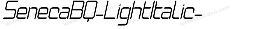 SenecaBQ-LightItalic字体转换