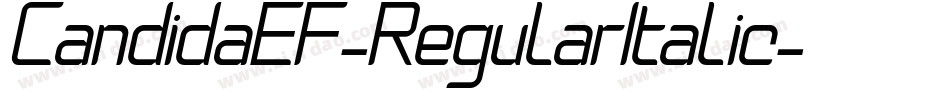 CandidaEF-RegularItalic字体转换