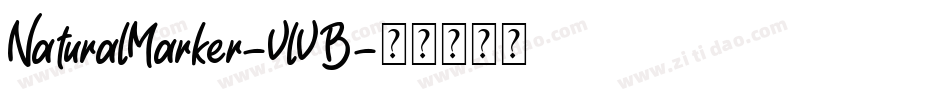 NaturalMarker-VlVB字体转换