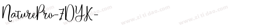 NaturePro-7DYK字体转换